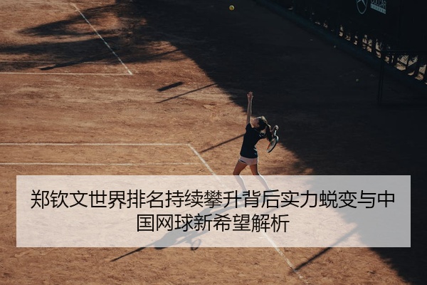 郑钦文世界排名持续攀升背后实力蜕变与中国网球新希望解析