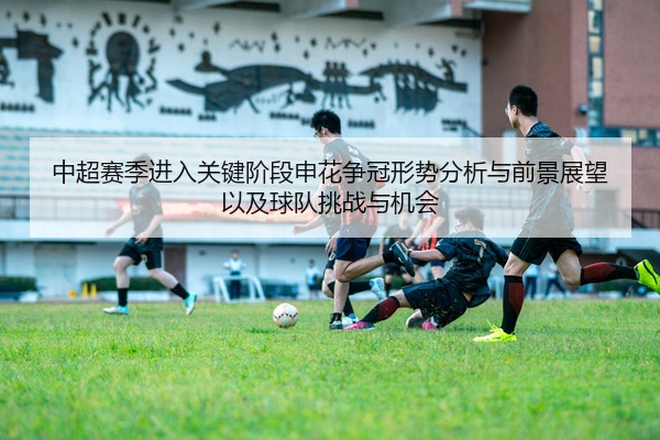 中超赛季进入关键阶段申花争冠形势分析与前景展望以及球队挑战与机会